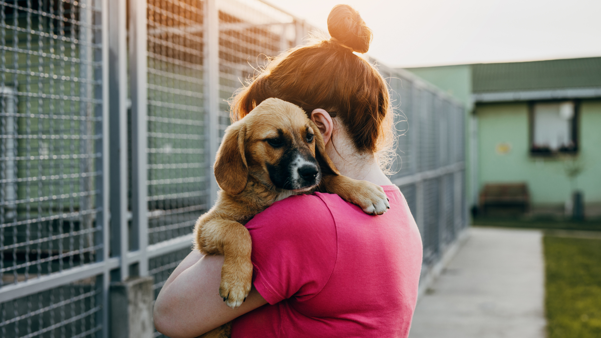 Person holding puppy
