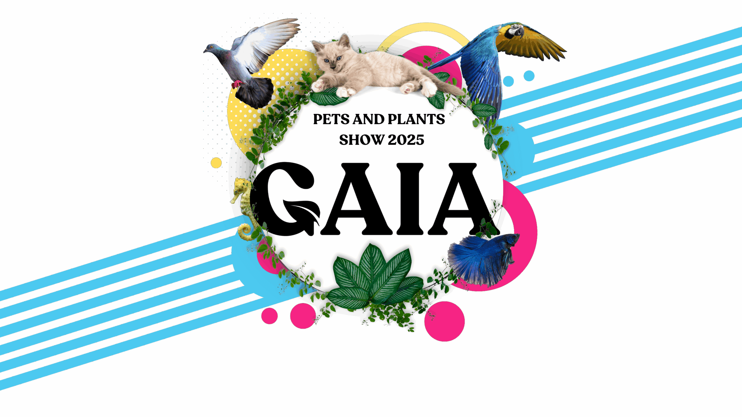 GAIA event graphic